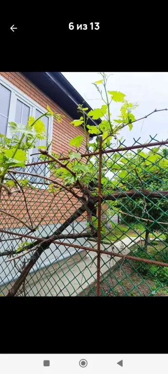 Дом частный